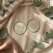 Candy Loop Earrings